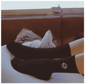 Star Gazer - Embriodered Socks (Option: S to M)